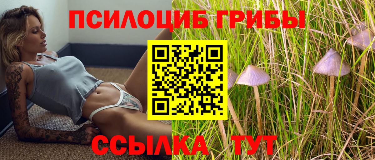 Томск  Псилоцибиновые грибы Magic Shrooms  Галлюциногенные грибы GOLDEN TEACHER  Вход с VPN 