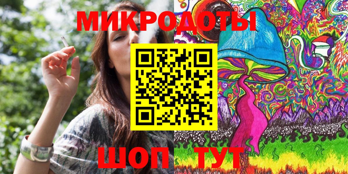 Псилоцибиновые грибы Psilocybine cubensis Томск